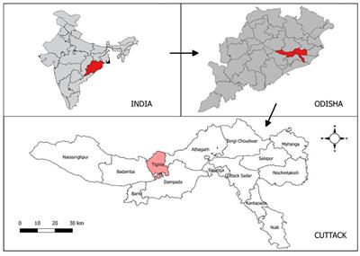 Perception and determinants leading to antimicrobial (mis)use: A knowledge, attitude, and practices study in the rural communities of Odisha, India